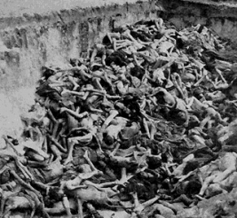 Heap of corpses in mass grave